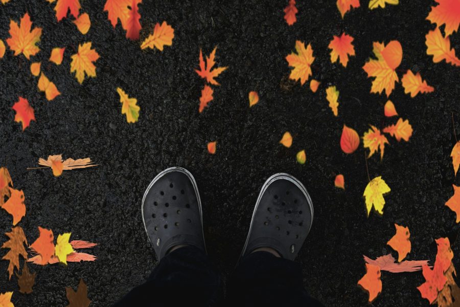 Aromatic Autumn in Kashmir